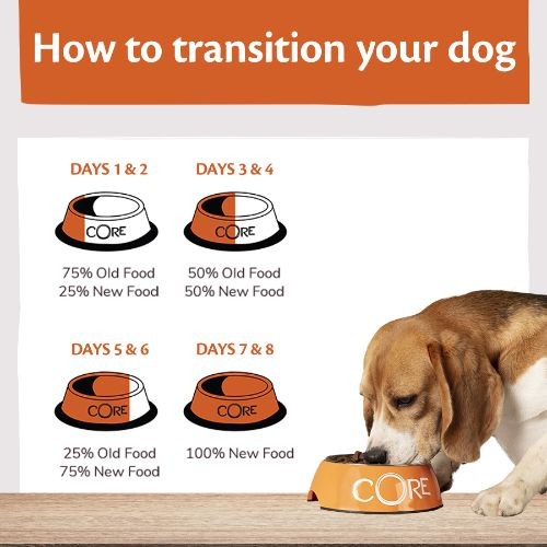 Wellness CORE Original Small Breed Turkey Grain Free Adult Dry Dog