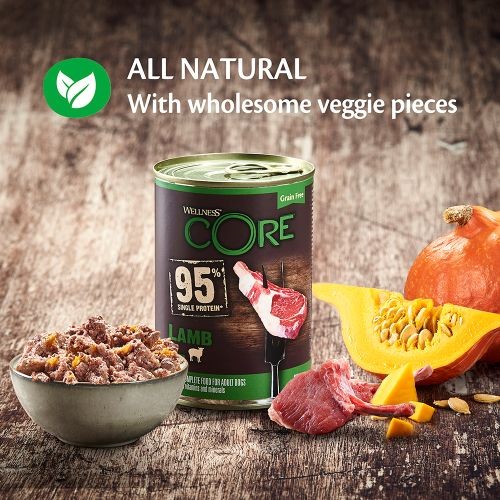 Wellness Core 95 Lamb with Pumpkin Wet Adult Grain Free Dog Food 6 x 400g Wellness Core Pets Friends