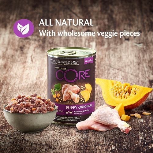 Wellness complete deals puppy food