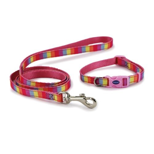 Ancol Small Bite Rainbow Collar Lead Set Pink Ancol Pets Friends