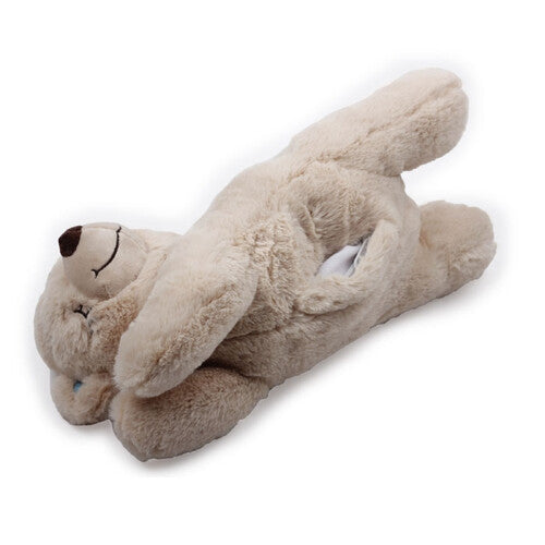 Paws teddy bear online