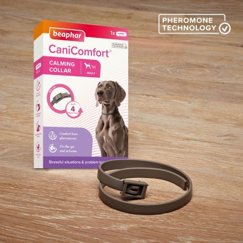 Beaphar Canicomfort Calming Collar Dog Beaphar Pets Friends