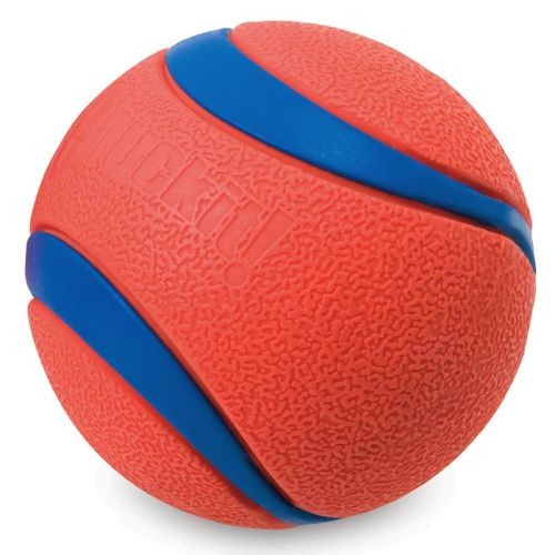 Chuck it extra large ball best sale