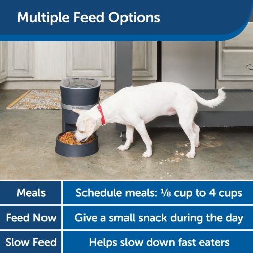 Petsafe slow feed hotsell