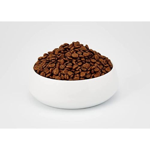 Acana dry hot sale cat food