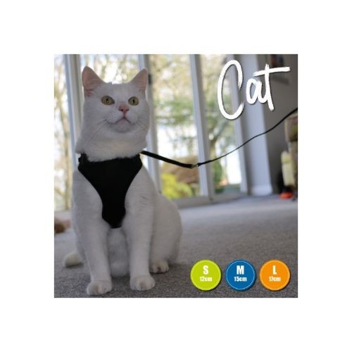 Cat collar and lead best sale