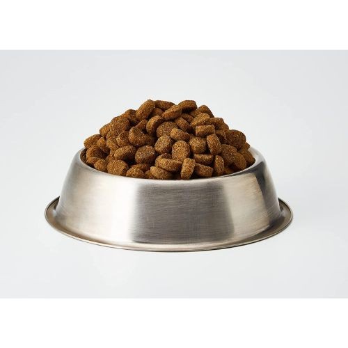 Acana singles best sale dog food