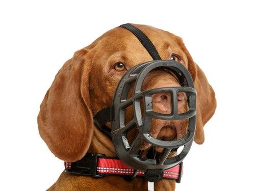 Ultra sales dog muzzle