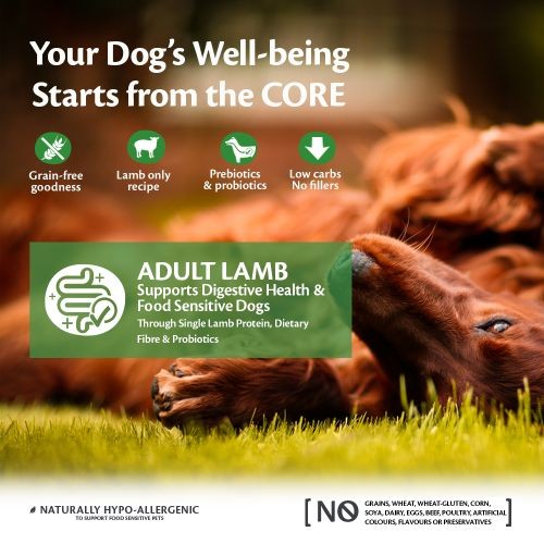 Wellness CORE Adult Lamb Grain Free Dry Dog Food 10kg Wellness