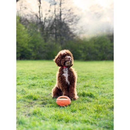 DOGGI Catch Carry Small Rugby Ball Dog Toy Doggi Pets Friends