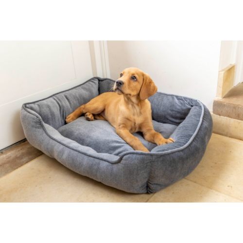 House of paws dog bed best sale