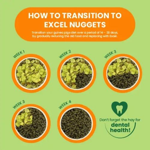 Burgess Excel Guinea Pig Nuggets with Mint 10kg Burgess Pets Friends