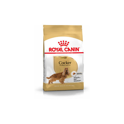 Best dry food for cocker spaniel uk best sale