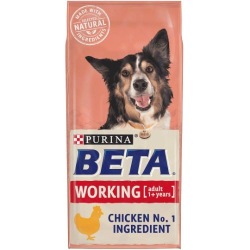 Beta active hot sale dog food