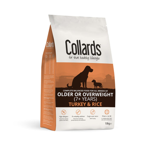 Dry dog food 2024 for older dogs