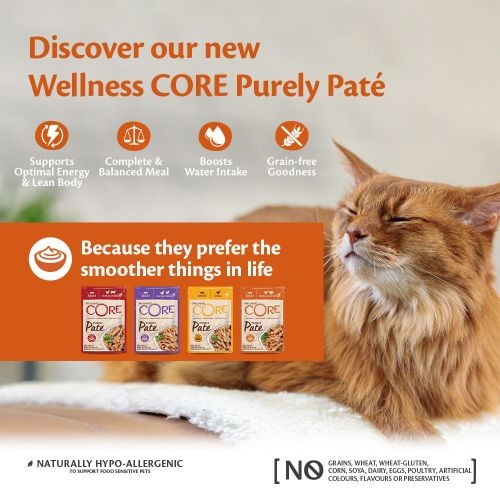 Dairy free outlet cat food