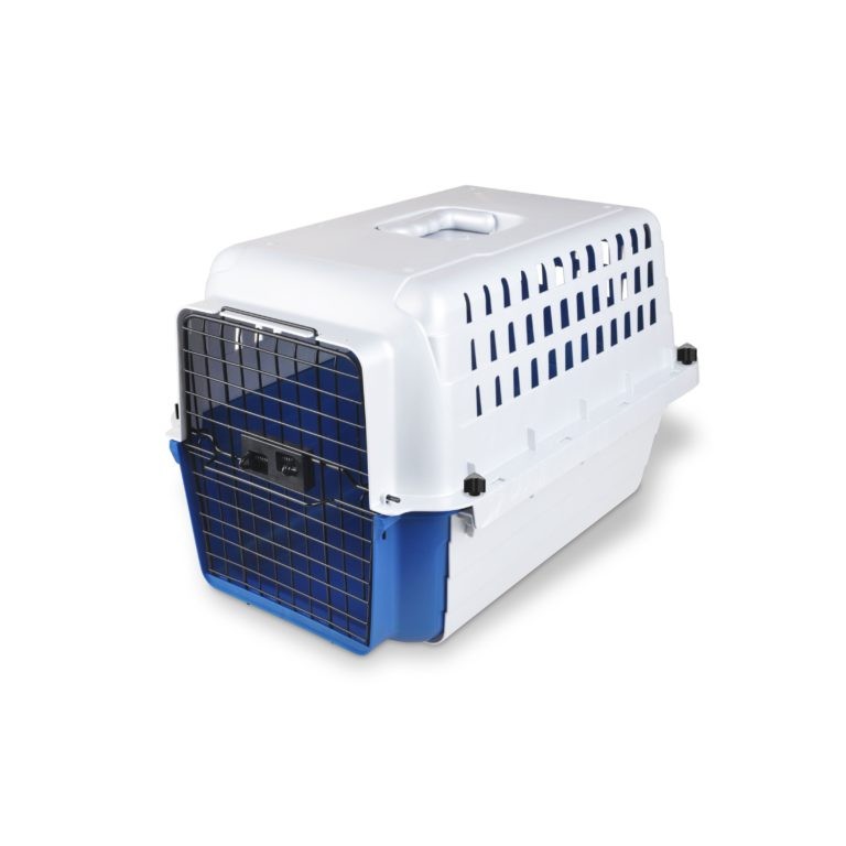 Best cat carrier for best sale nervous cats