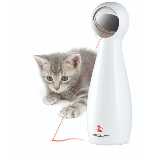 PetSafe® Bolt Laser Light Cat Toy | Pet Safe | Pets & Friends