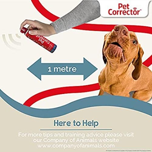 Company of hotsell animals pet corrector