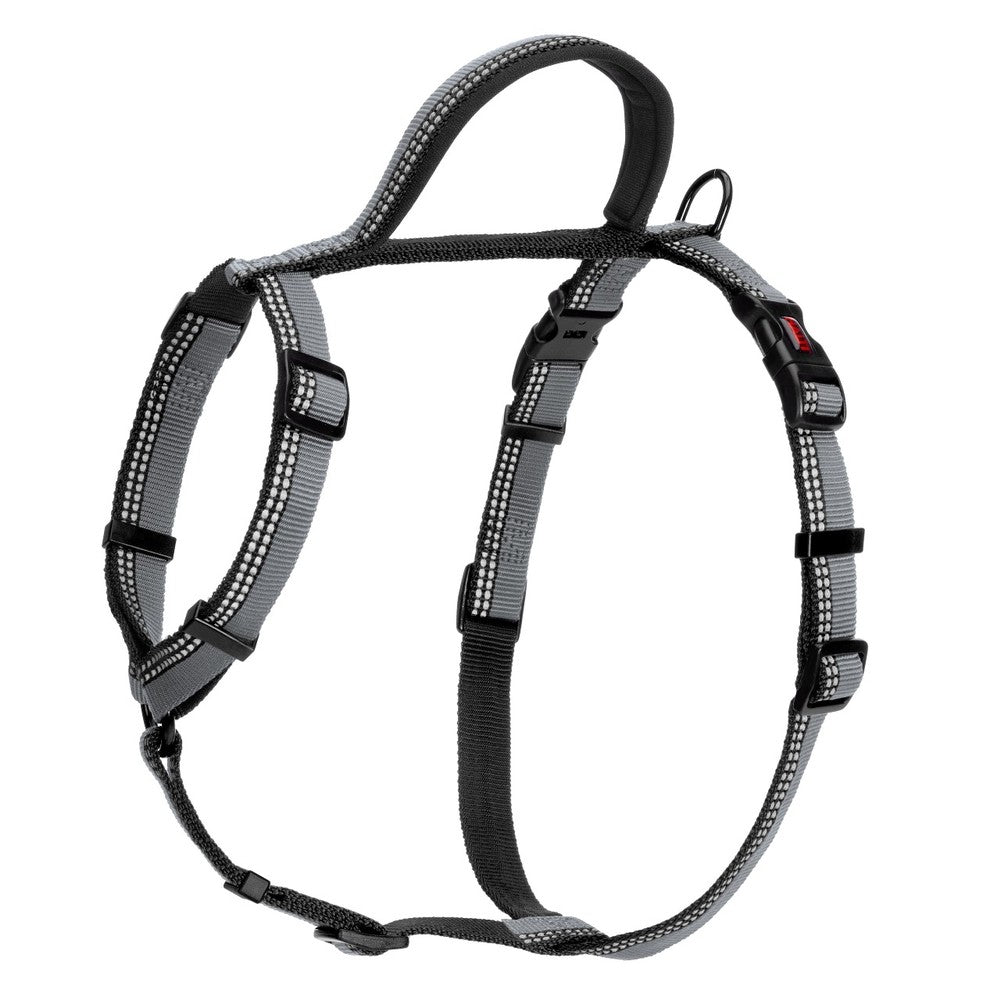 Halti harness outlet uk