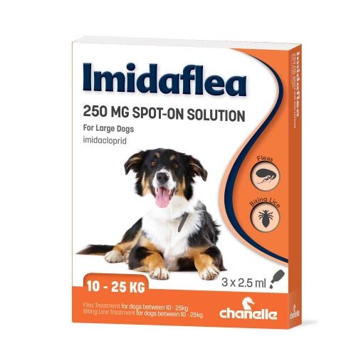 Imidaflea 250mg Spot-On Solution for Large Dogs (3 x 2.5ml) | Imidaflea ...