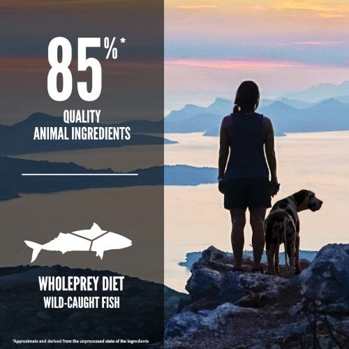 Six fish hot sale dog food