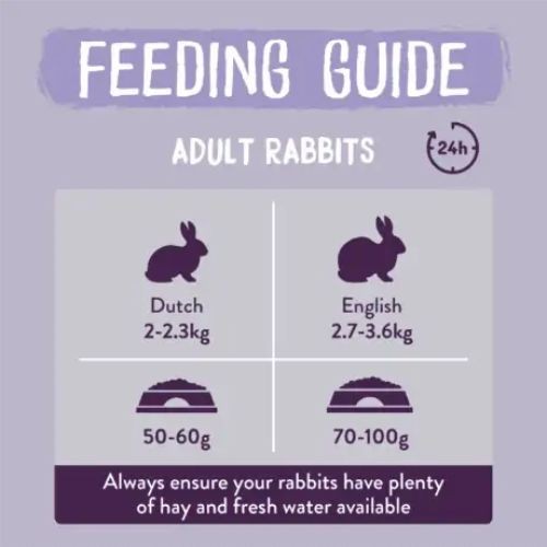 Burgess dwarf clearance rabbit food