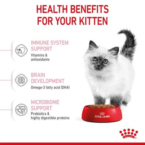 Royal Canin Second Age Kitten Food 400g | Royal Canin | Pets & Friends