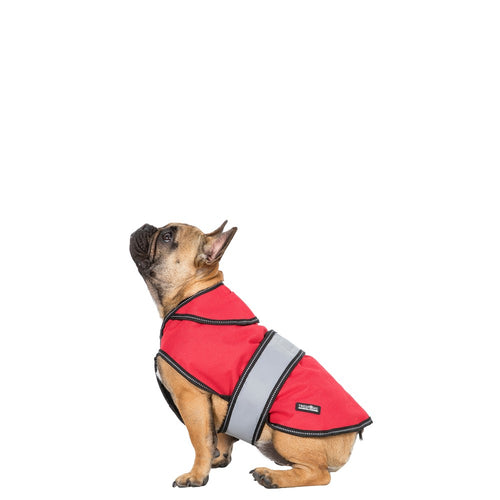 Trespaws on sale dog coat