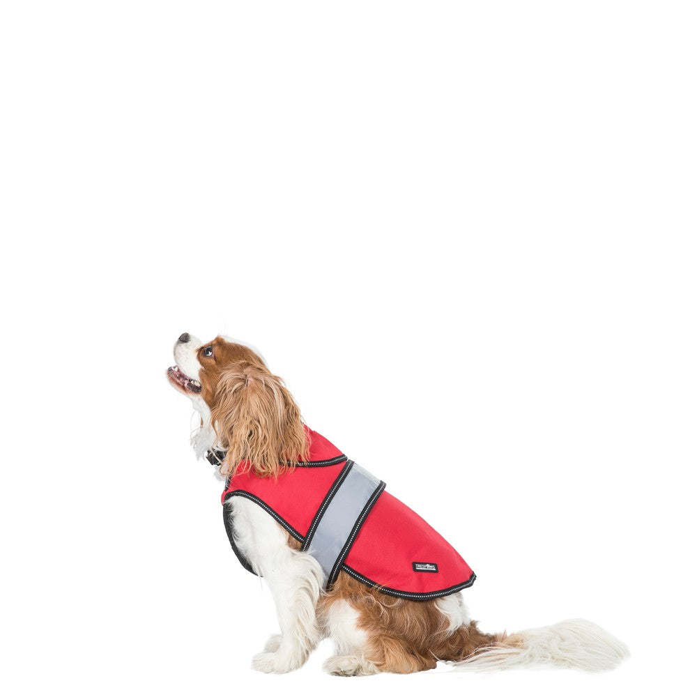 Coleman Fleece Dog Costumes