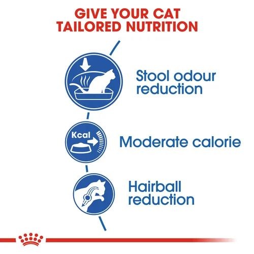 Royal canin outlet indoor life