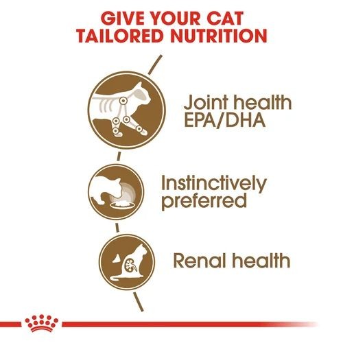 Royal canin ageing 2024 cat 12 plus