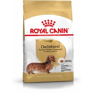 Royal canin adult outlet dog