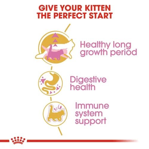 Royal canin maine outlet coon kitten 2kg