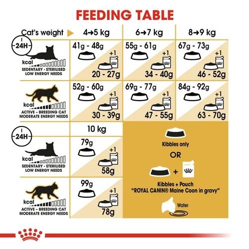 Royal canin maine 2025 coon 10kg best price