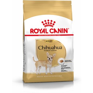 Royal canin chihuahua outlet dry food