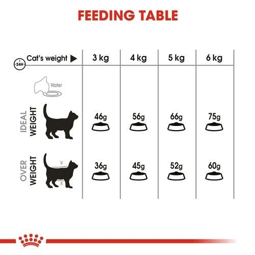 Royal canin outlet dental cat 8kg